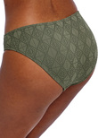 Nomad Nights Classic Bikini Brief Sage