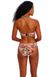 Desert Cat Classic Bikini Brief Sunset