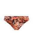 Desert Cat Classic Bikini Brief Sunset