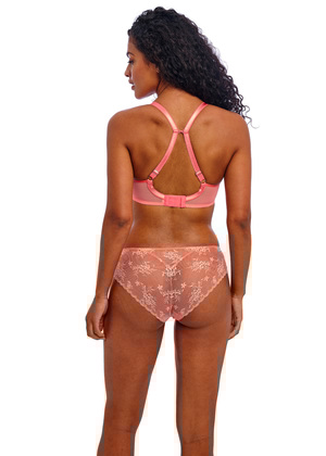 Offbeat Decadence Molded Spacer Bra Sunset Coral Offbeat Decadence  Sunset Coral