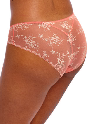 Offbeat Decadence Brief Sunset Coral Offbeat Decadence  Sunset Coral