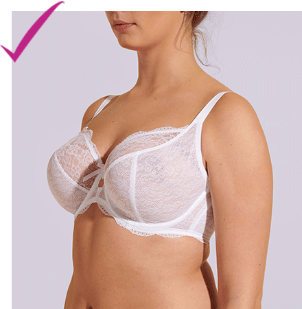 Trouble shoot Bra Fitting Mistakes – Fleur of England